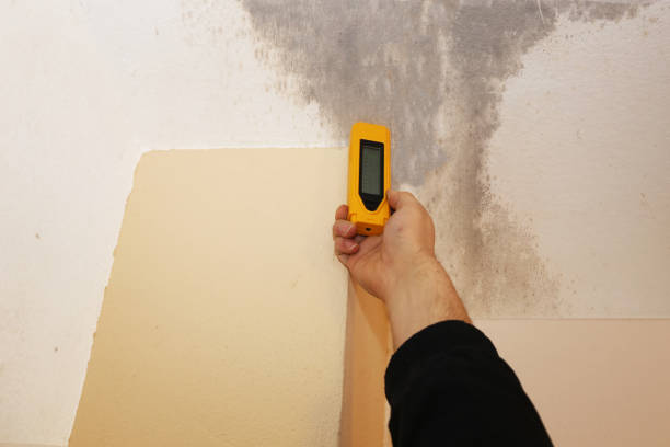 Best Air Quality Testing for Mold Spores  in Ben Avon, SC