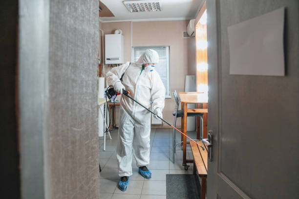 Best Mold Prevention Services  in Ben Avon, SC