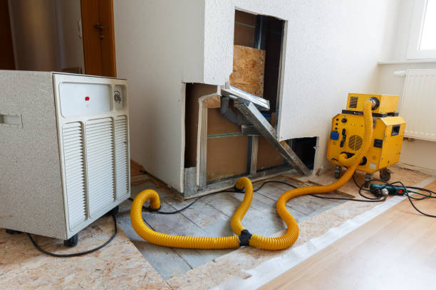 Best Indoor Air Quality Assessment  in Ben Avon, SC