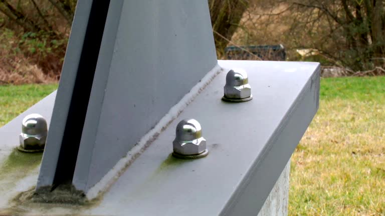 Mold Documentation for Insurance Claims in Ben Avon, SC